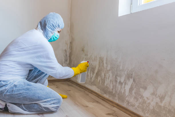 Hvac And Air Duct Mold Remediation inspection of HVAC system in Pasadena