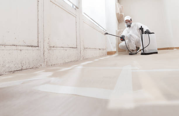 Post-remediation clearance in Pasadena