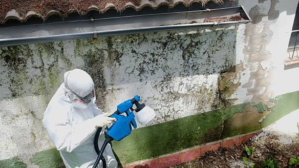 Mold Removal service in Pasadena